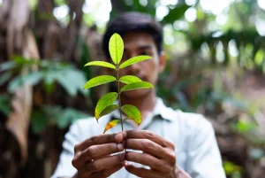 Biodiversitas sebagai Tolok Ukur ESG