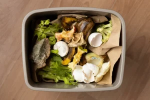 Food Waste Numpuk Cek Cara Aturnya Biar Gak Rugi